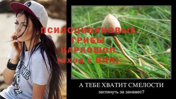 эйфоретик Армянск