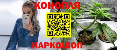 молекула духа Можга