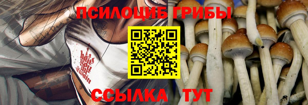 Галлюциногенные грибы GOLDEN TEACHER Курган