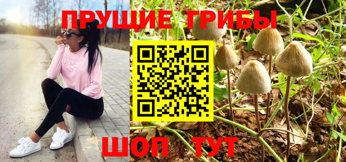 Галлюциногенные грибы GOLDEN TEACHER  Псилоцибиновые грибы GOLDEN TEACHER  Курган  Вход с VPN 